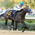 Thoroughbred Racing at Oaklawn Park